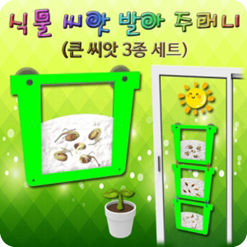 식물 씨앗 발아주머니(큰 씨앗 3종세트)-1인/5인1세트(화분 별매) 