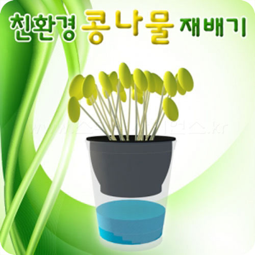 친환경 콩나물 재배기(1인용)
