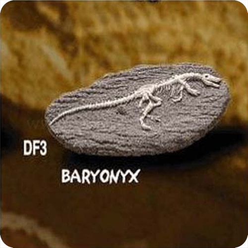 공룡화석발굴(바리요닉스)
