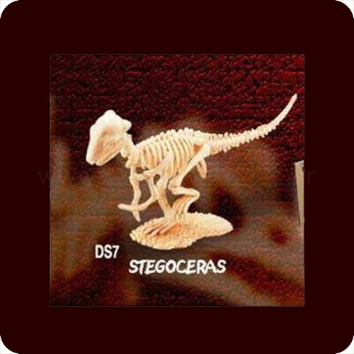 공룡뼈발굴(스테고세라스)