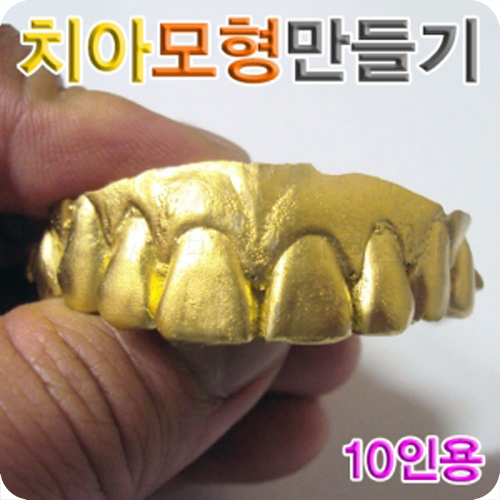 치아모형만들기(10인용)