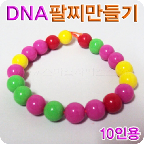 DNA팔찌만들기(10인1세트) 