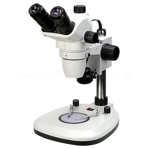 실체줌현미경(DSZM-T55)