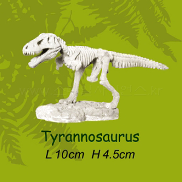 미니공룡뼈발굴 - 티라노사우러스(SDS1)