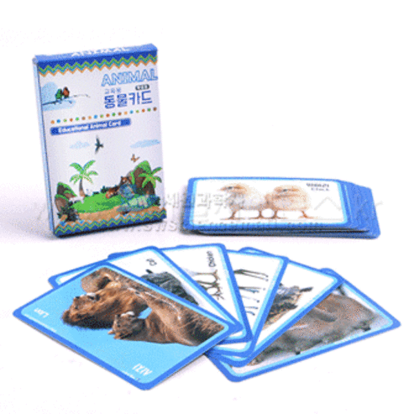 교육용 동물카드(24종,학생용 케이스부)