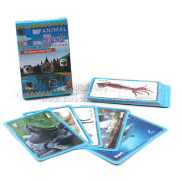교육용 땅과 물에 사는 동물카드(24종,학생용 케이스부)