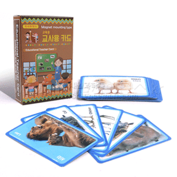교육용 동물카드(24종,교사용 자석부착용)