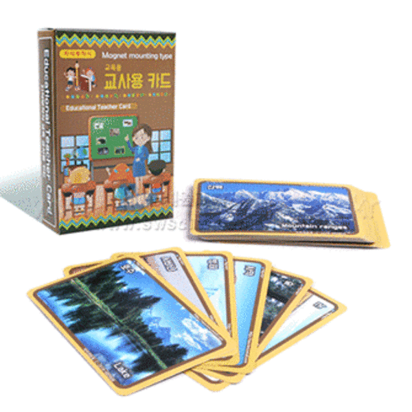 교육용 지구모습 카드(24종,교사용 자석부착용)