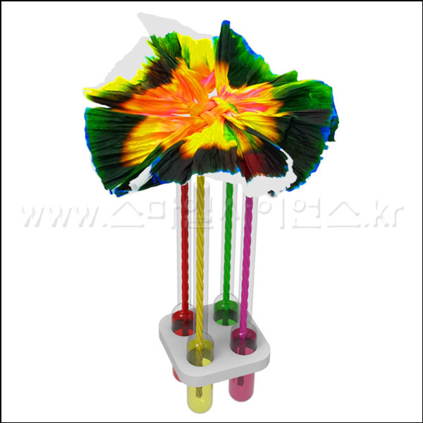 모세관현상색깔물꽃만들기(2인용)