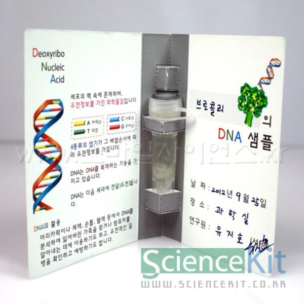 DNA추출I-식물세포[4인용]