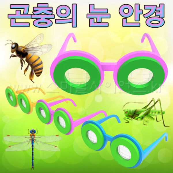곤충의 눈 안경 만들기(1인용)