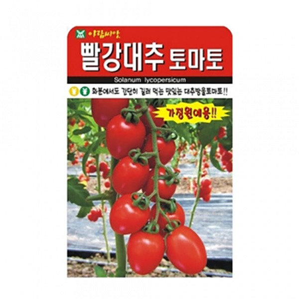 빨강대추 토마토(발아용)